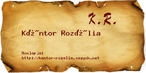 Kántor Rozália névjegykártya